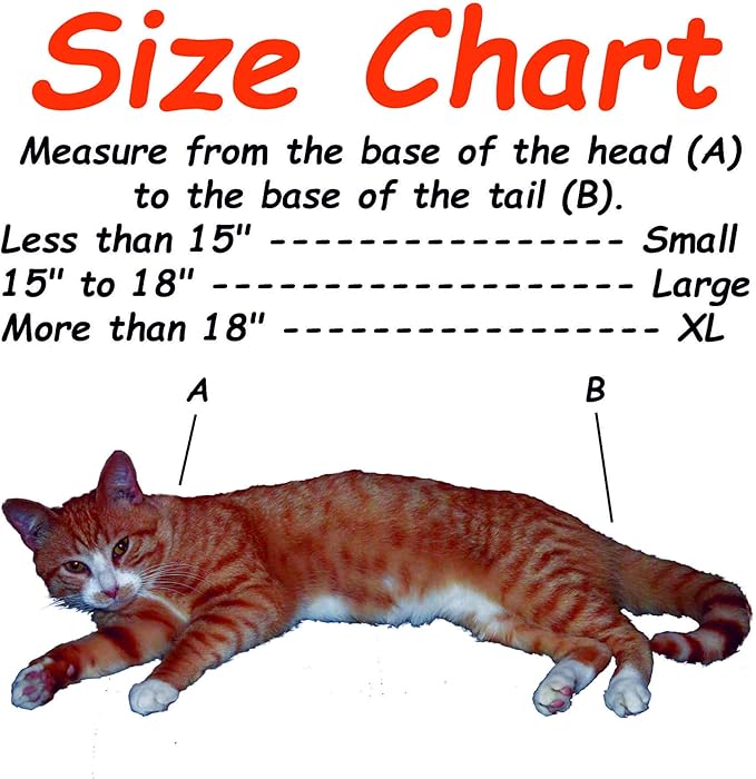 Cozy Comfort Carrier - X-Large Green Cat Carrier, Cat Holder for Cutting Nails, & Cat Carrier Pouch for Vet Visits, Medication Administration, Dental Care, & Travel-PawvioPets