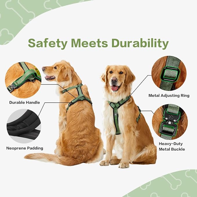 CLEPAWS Dog Harness for Small Dogs, No Pull Dog Harness Easy Walk with Metal Hardware, Ergonomic Y-Shaped Design, Soft Padding, Padded Handle, Durable High-Tensile Nylon (Evergreen, S)-PawvioPets