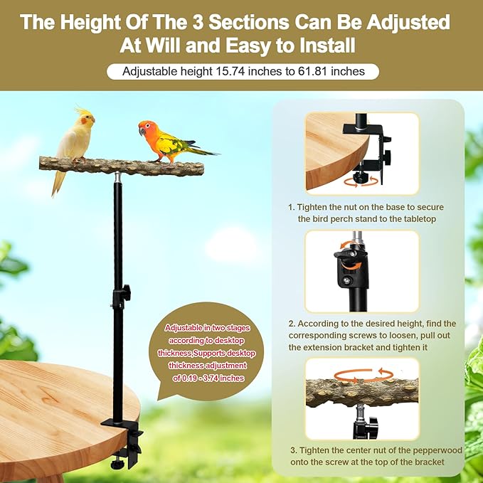 13-23 Inch Height Adjustable Desktop Bird Perch Pepper Wood Bird Training Perch Stand Parakeet Perches Indoor and Outdoor Parrot Stands for Small to Medium Bird-PawvioPets