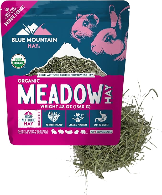 Blue Mountain Hay | Fresh Organic Meadow Hay (48 Ounce) | Mimics Natural Forage | High-Altitude Hay Pet Food for Rabbits, Guinea Pigs, Chinchillas, Hamsters, and Other Small Pets-PawvioPets
