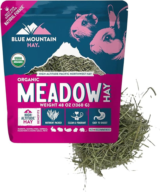 Blue Mountain Hay | Fresh Organic Meadow Hay (48 Ounce) | Mimics Natural Forage | High-Altitude Hay Pet Food for Rabbits, Guinea Pigs, Chinchillas, Hamsters, and Other Small Pets-PawvioPets