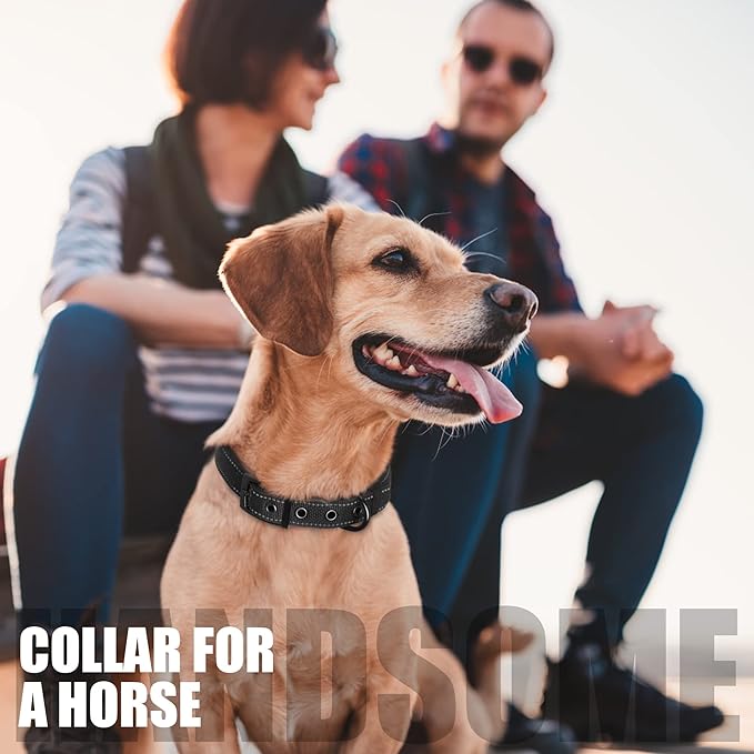 Fida Heavy Duty Dog Collar, Ultra Comfortable Soft Neoprene Padded, Adjustable Reflective Nylon Pet Collar with Durable Metal Belt Buckle for Medium Breeds (M, Black)-PawvioPets