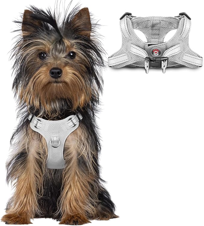 BARKBAY Dog Harness, Reflective Adjustable No Pull Harness, Breathable Soft, Grey, XXS-PawvioPets