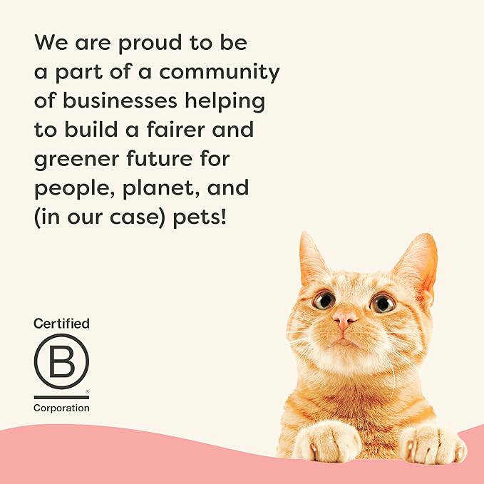 Applaws Vitality Wet Cat Food Paté, Natural Canned Cat Food, Wet Food for Cats with Added Vitamins and Minerals, Grain Free, Carrageenan Free, Tuna Fillet and Salmon (24 Count, 5.5oz Cans)-PawvioPets