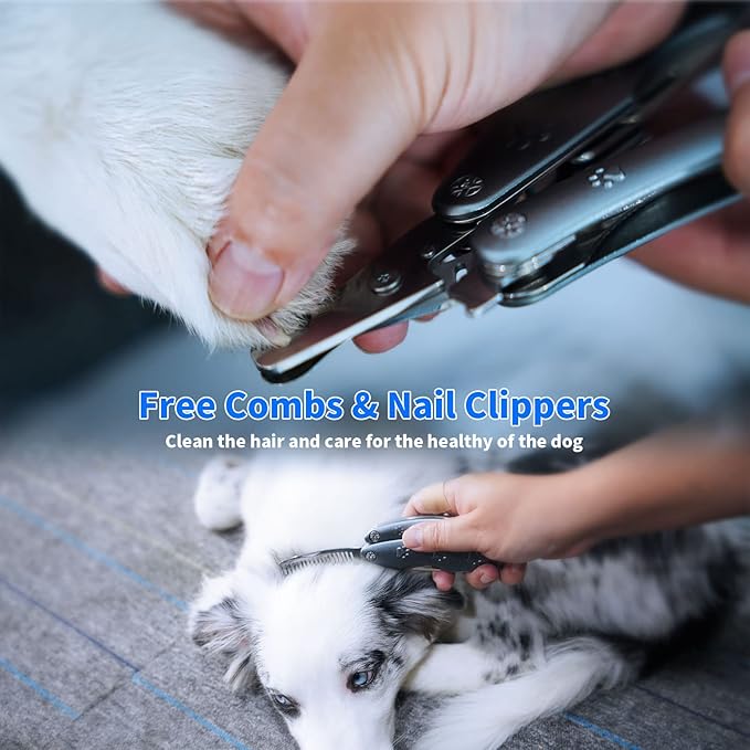Best Dog Nail Trimmers for Anxiety Sensitive Dogs, Quiet Sharpest Smoothest Nail Clippers for Large Dog Medium Small, Professional Stainless Steel with Nail File & Comb, Left-Handed Friendly-PawvioPets