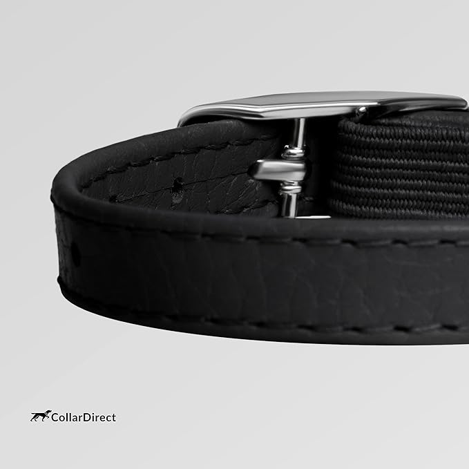 CollarDirect Leather Cat Collar, Cat Safety Collar with Elastic Strap, Kitten Strap with Bell Black Blue Red Orange Lime Green (6-7 Inch, Black)-PawvioPets