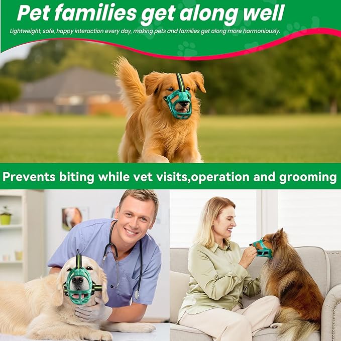 Dog Muzzle, Basket Muzzle for Small Medium Large Dogs, Anti-Biting and Chewing, Lightweight & Sturdy Cage Design, Allows Panting & Drinking, Ideal for Grooming & Training(Green Size XL)-PawvioPets