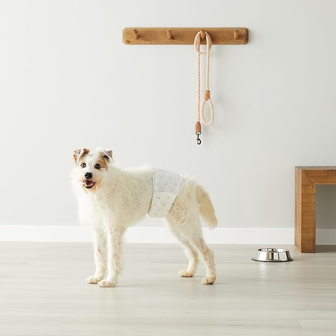 Amazon Basics Male Dog Diapers, 50 Count, Medium, Ultra Absorbent Disposable Wrap with Secure Fit, Leakproof and Comfortable-PawvioPets