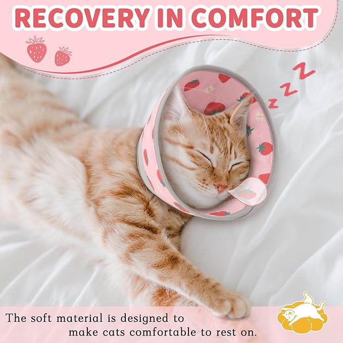 Cat Cone Collar Soft, Comfortable Cat Recovery Collar Pet Cone for Small Large Cats, Lightweight Elizabethan Collar for Cats Kittens After Surgery Prevent from Licking Wounds, Pink, M-PawvioPets