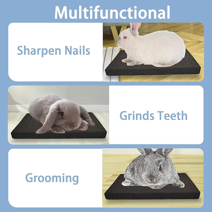 BNOSDM Rabbit Grinding Claw Pads 2 Pack Bunny Scratch Foot Pads Natural Hamster Lava Stone for Teeth Grinding Black Guinea Pig Scratching Board Chew Toy for Ferret Chinchilla Mouse-PawvioPets