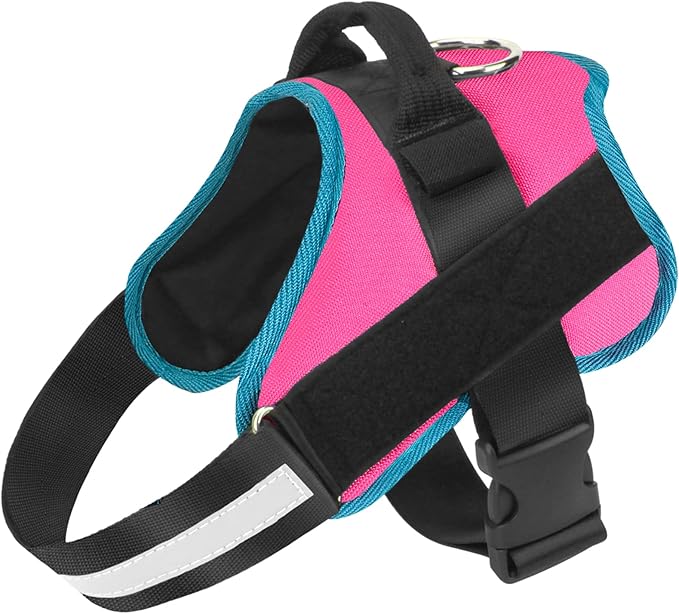 Bolux Dog Harness, No-Pull Reflective Dog Vest, Breathable Adjustable Pet Harness with Handle for Outdoor Walking - No More Pulling, Tugging or Choking Small (Pack of 1) RoseTurquoise-PawvioPets
