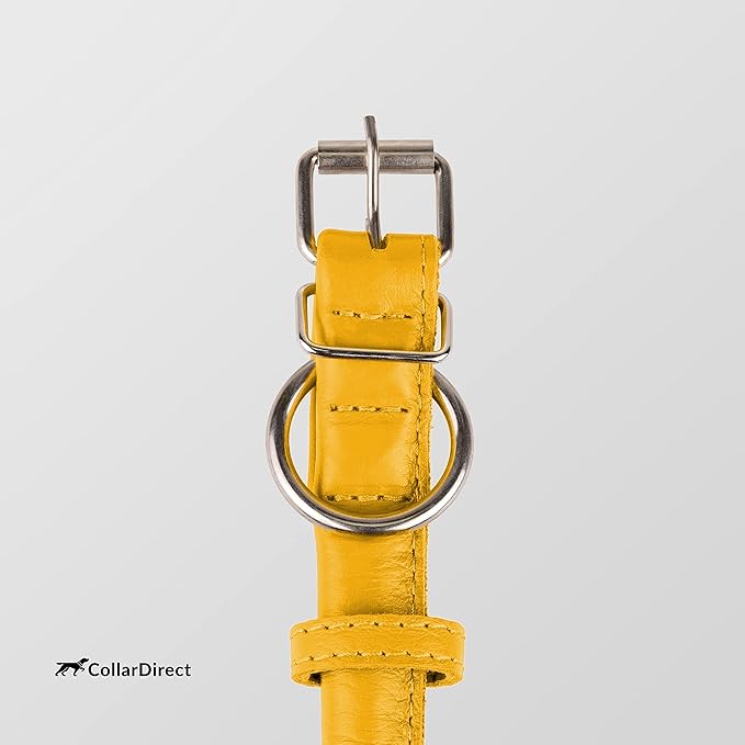 CollarDirect Rolled Leather Dog Collar, Soft Padded Round Puppy Collar, Handmade Genuine Leather Collar Dog Small Large Cat Collars 13 Colors (8-11 Inch, Yellow Textured)-PawvioPets