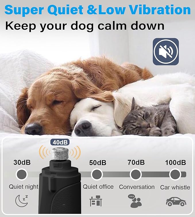 2 in 1 Dog Nail Clippers & Cat Nail Clippers Trimmers for Large Medium Small Dogs Cats Claw Trimmer Quick Sensor and Safety Guard USB Rechargeable Dogs Nail Trimmer with Catcher & 2 LED Lights-PawvioPets