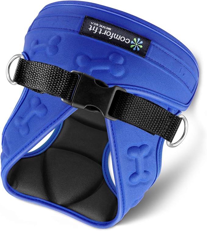 Comfort Fit Dog Harness No Pull with 2 Leash Clips Step in Harness for Small Sized Dogs Soft Padded Comfortable All Weather Dog Vest with Easy Control Adjustable Buckles for Dogs & Puppies – Blue XS-PawvioPets