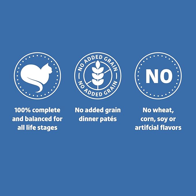 Amazon Brand - Wonder Bound Wet Cat Food, Pate, No Added Grain, (Salmon), 3 ounce (Pack of 24)-PawvioPets