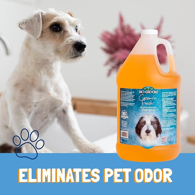 Bio-Groom Groom'n Fresh Dog Shampoo – Odor Eliminating, Dog Bathing Supplies, Puppy Wash, Cat & Dog Grooming Supplies, Cruelty-Free, Made in USA, Dog Products – 1 Gallon-PawvioPets