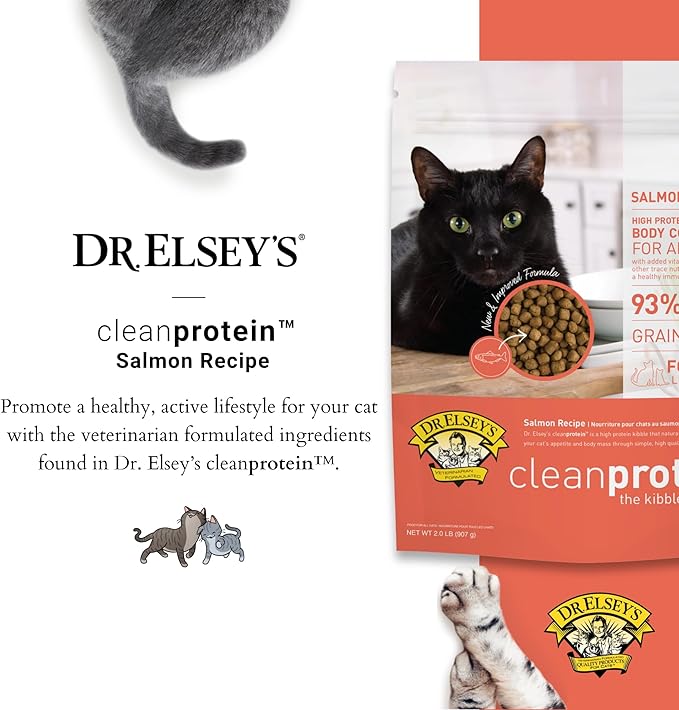Dr. Elsey'S Cleanprotein Salmon Formula Dry Cat Food, 2 Pound (Pack of 1)-PawvioPets