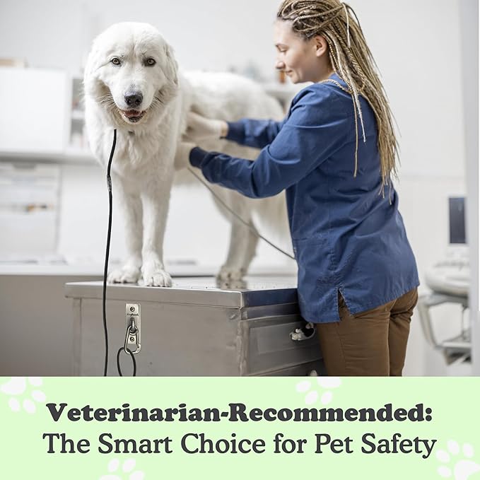 Canine Hitch- Secure Dog Leash Parking Wall Slim Hook with Clip 6 Pack - Tie Out Stainless Steel & ABS Mounting Plate for Strength - Practical Lead Management for Home & Business-PawvioPets