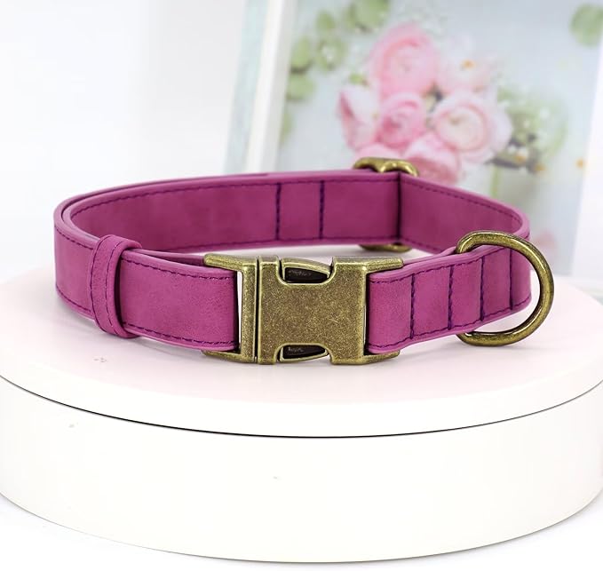 Didog Soft PU Leather Dog Collar, Stylish Quick Released Dog Collars for Medium Dogs, Easy Clean Adjustable Pet Collar for Daily Walking, Purple, M Fit 13-21" Neck-PawvioPets