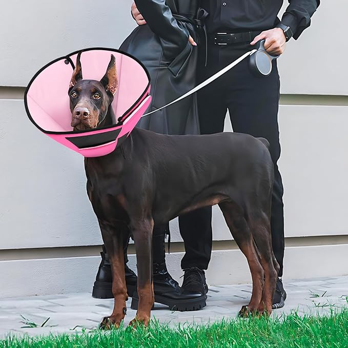 Dog Recovery Collar Cone for Medium Dogs, Adjustable Dog Cone Alternative After Surgery for Dogs to Stop Licking, Breathable Soft Cone for Medium Large Dogs, Pink M-PawvioPets