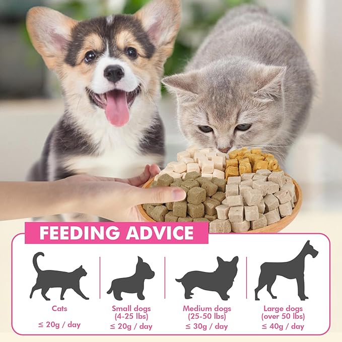 Freeze Dried Cats & Dogs Raw Treats, All Natural Single Ingredient Chicken Liver, High Protein Healthy Pet Training Treats or Food Topper, 10.6 oz-PawvioPets