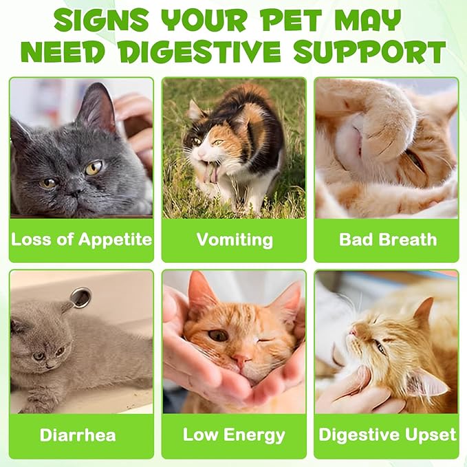 3 in 1 Probiotics for Cats, Cat Digestive Support,Daily Digestive Health Supplement with Multiple Strains of Bacteria Help with Diarrhea,Gas and Bloating, Cat Herbal Supplements- 60ml-PawvioPets