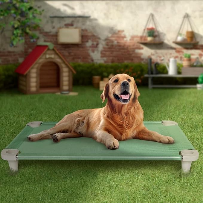 Acrimet Cooling Elevated Pet Dog Bed, Washable and Breathable Mesh Cot, Stainless Steel Frame, Indoor & Outdoor Use, fits Dogs up to 110 lbs (Size: 40” x 24”), Green, 1 Unit-PawvioPets