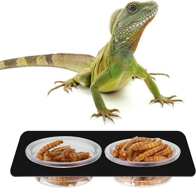 EBOOT 500 Pcs Gecko Food and Water Cups Small Plastic Feeder Cups Reptiles Accessories Reptile Water Bowl Gecko Food Cups Reptile Feeding Bowls for Gecko Lizards Tarantula and Other Small Pets (0.5oz)-PawvioPets