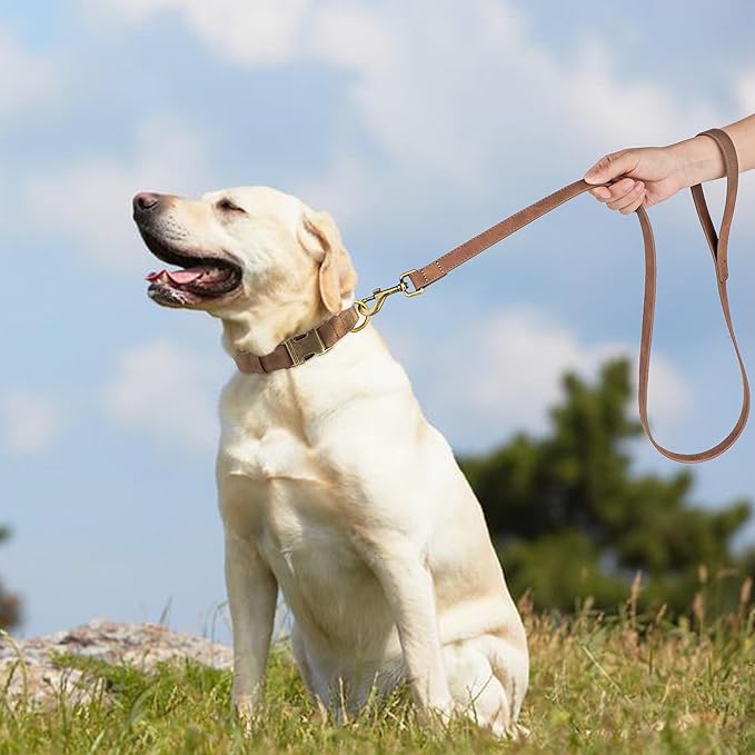 Didog Soft PU Leather Dog Collar, Stylish Quick Released Dog Collar for Large Dogs, Easy Clean Adjustable Pet Collar for Daily Walking, Brown, L Fit 15-23" Neck-PawvioPets
