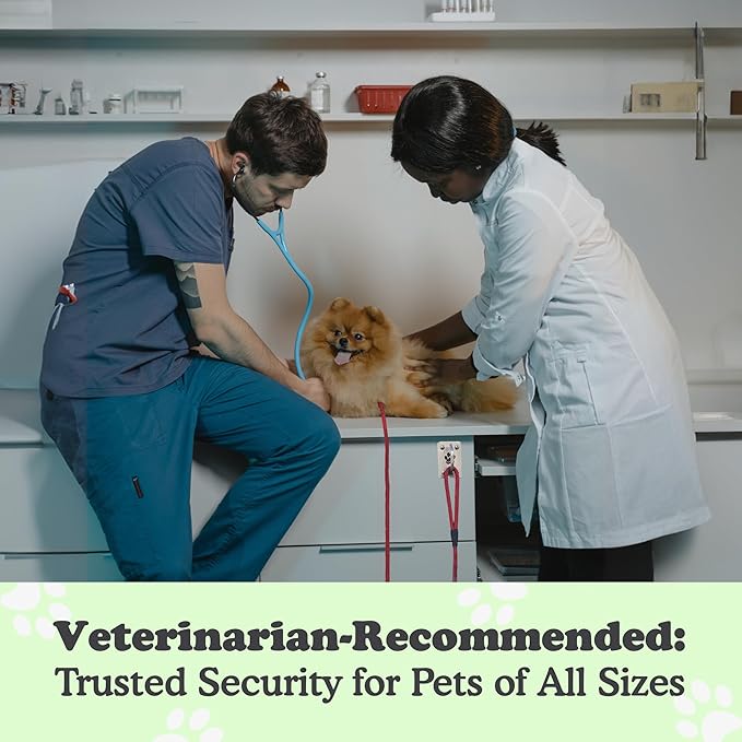 Canine Hitch- Secure Dog Leash Parking Mounted Indoor – Outdoor Wall Hook - Tie Out Stainless Steel Practical Lead Management for Home & Business, Ultimate Strength-PawvioPets