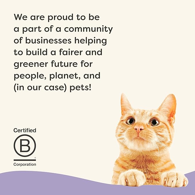 Applaws Vitality Wet Cat Food in Broth, Natural Canned Cat Food, Wet Food for Cats with Added Vitamins and Minerals, Grain Free, Carrageenan Free, Variety Selection in Broth (12 Count, 2.47 oz Cans)-PawvioPets