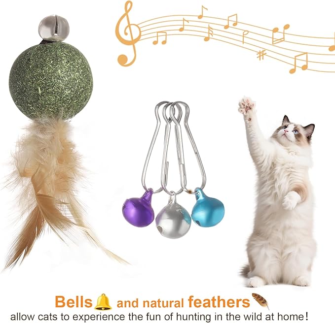Cat Feather Toys with Catnip Ball, Feathers & Bell - 2 Replaceable Mouse Heads, Elastic Rope & Wooden Handle for Aggressive Kittens, Durable Bite-Proof Interactive Cat Teaser for Indoor Play-PawvioPets