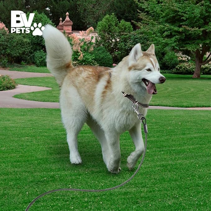 BV Dog Tie Out Cable 25 Feet - Heavy Duty Dog Lead Up to 250 Pounds - Reflective & Rust-Free with Quick Release Swivel Clips & 360° Rotating Clasp - Tangle-Free Dogs Runner for Yard (Grey, Single)-PawvioPets