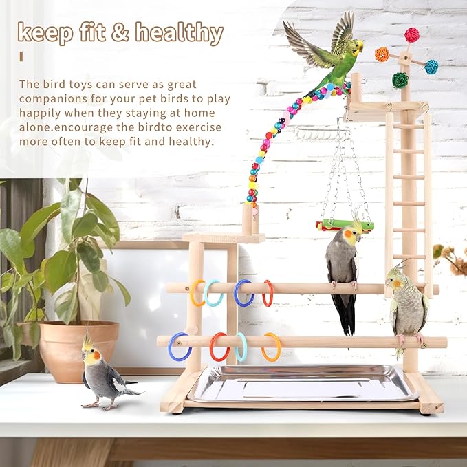 Bird Playground, Perch Stand Parrot Playstand Play Gym with 2 Perches Stand Windmill Toys, Playpen for Parakeet Conure Cockatiel Lovebird Budgie Caique, Exercise Playgym with feeding Cups-PawvioPets