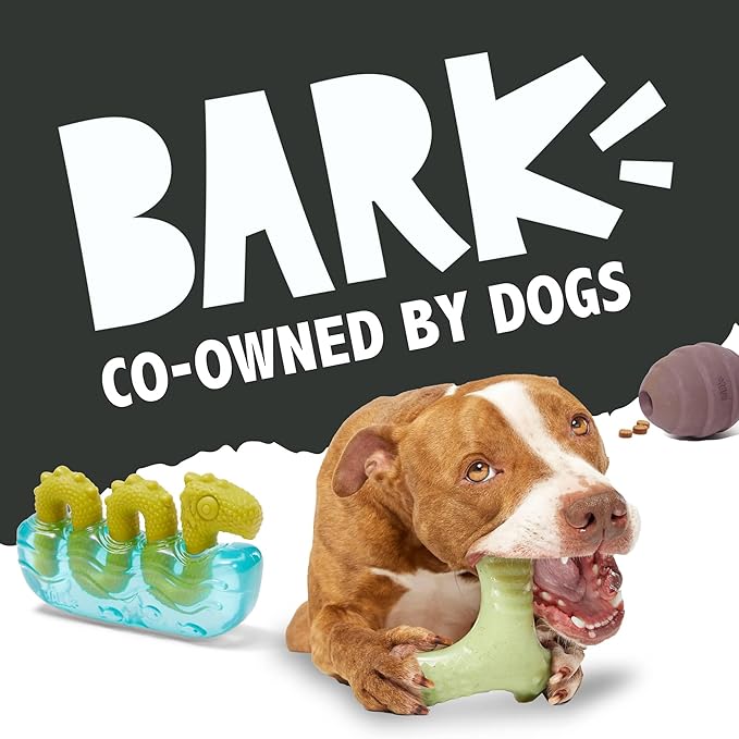 Barkbox Potato 2-in-1 Dog Toy - Tough Plush Squeaky Chew Toy for Large Dogs | Large-PawvioPets