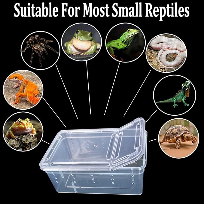 Critter Keeper 2-Pack, Cricket Cage & Reptile Feeding Box 12.59"x8.66"x5.9" Transparent Portable Plastic Snake Habitat Escape-Proof Ventilated Design for Gecko, Tarantula, Scorpion, Spider, Frog-PawvioPets