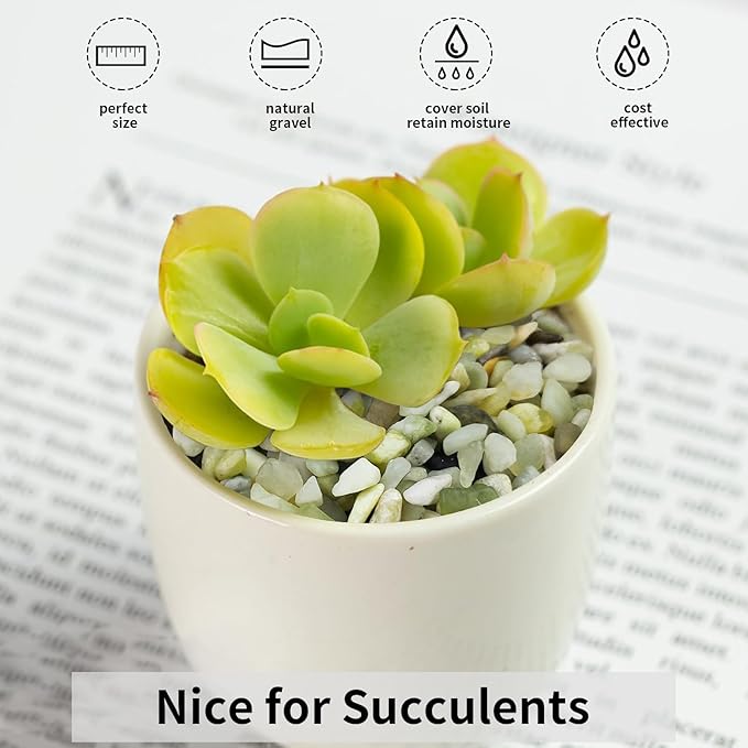 5 lbs Jade Gravel Small Pebbles for Indoor Plants, Decorative Rocks for Plants Succulents Cactus Bamboo Vases Filler and Potted Drainage Gravel-PawvioPets