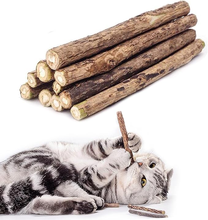 20 PCS Cat Catnip Sticks Natural Matatabi Silvervine Sticks - Cleaning Teeth Molar Tools Kitten Chew Toy Natural Catnip Cats Toy-PawvioPets