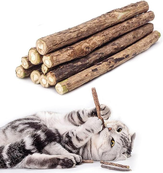 20 PCS Cat Catnip Sticks Natural Matatabi Silvervine Sticks - Cleaning Teeth Molar Tools Kitten Chew Toy Natural Catnip Cats Toy-PawvioPets