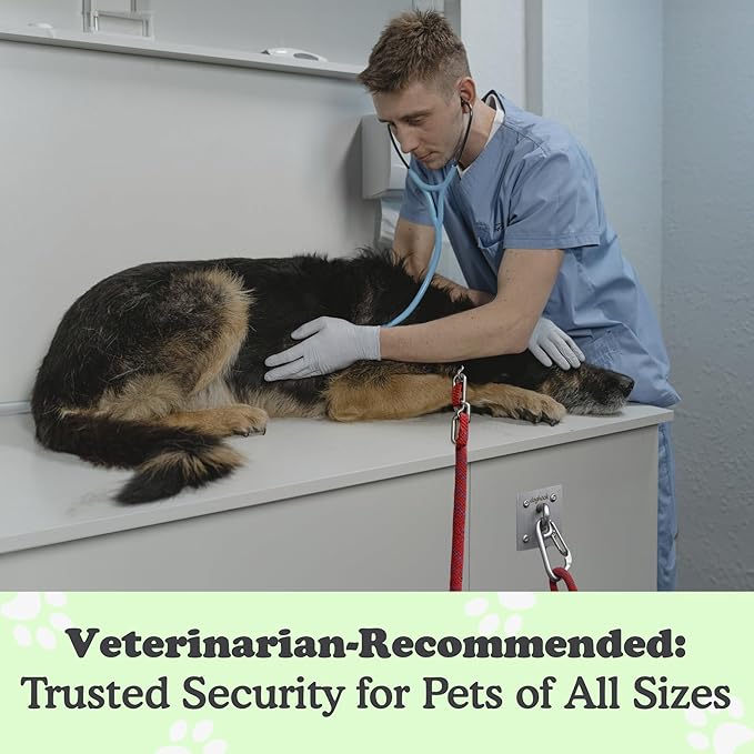 Canine Hitch- Secure Dog Leash Parking Indoor- Outdoor Wall Hook with EZ Clip - Tie Out Stainless Steel - Practical Lead Management for Home & Business-PawvioPets