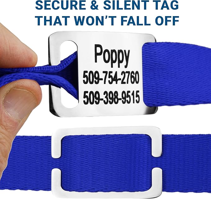 GoTags Personalized Dog Collar with Nameplate, Adjustable Dog Collar with Custom Engraved Slide On Pet ID Tag in Stainless Steel, Silent, No Noise Dog Tag for Large Medium and Small (Blue, X-Small)-PawvioPets