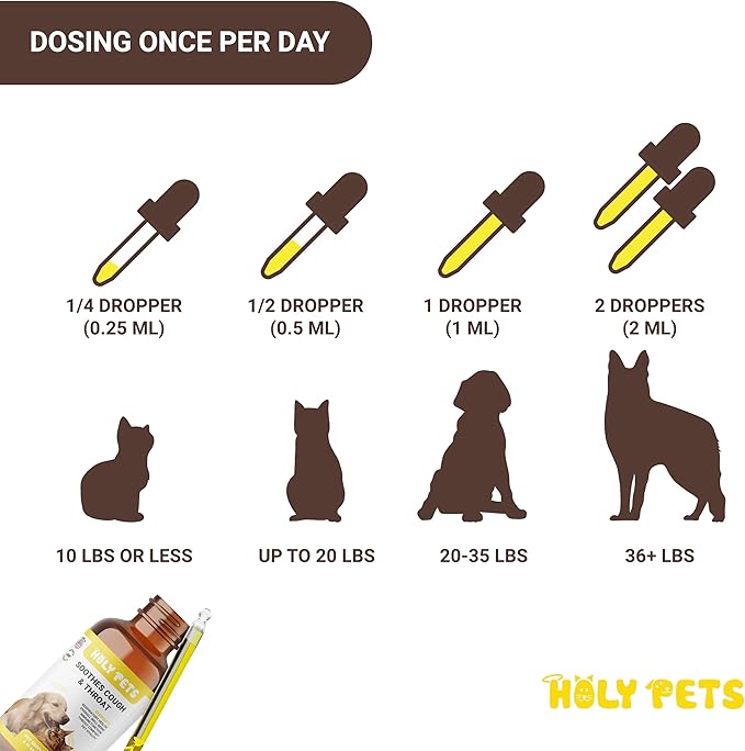 Cough Medicine for Dogs & Cats, Respiratory Infection Support - Sneezing Relief & Kennel Cough Treatment - Pet Asthma Support - Made with Natural Ingredients in The USA (4oz)-PawvioPets