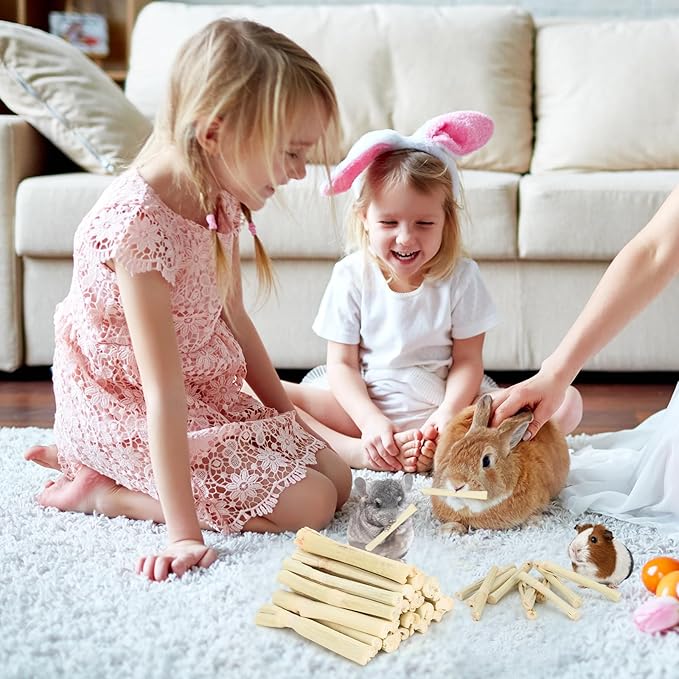 2.7lb Sweet Bamboo Sticks for Rabbits Chew Sticks Toys Guinea Pig Hamster Chinchilla Molar Treats Snacks, Natural Teeth Grinding Toys-PawvioPets
