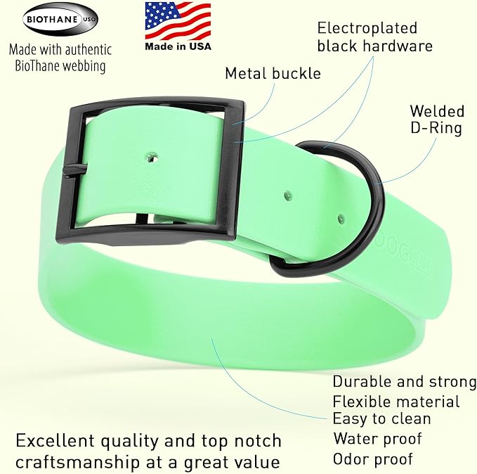Dogline Biothane Waterproof Dog Collar Strong Coated Nylon Webbing with Black Hardware Odor- Proof for Easy Care Easy to Clean High Performance Fits Small Medium or Large Dogs, Sea Foam Green-PawvioPets