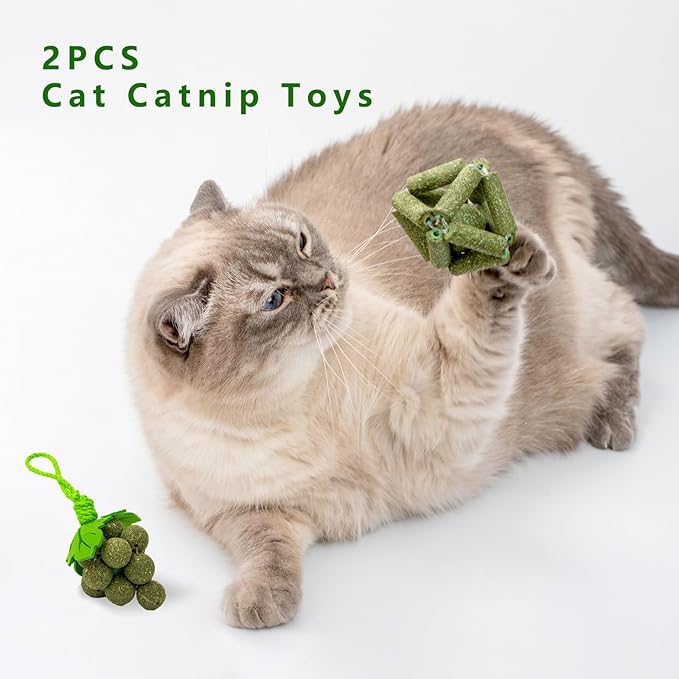 Cat Catnip Toys,2Pcs Catnip Ball for Cats,Toys for Indoor Cats,Cat Chew Exercise Toy for All Breeds and Species,Enhances Oral and Dental Health-PawvioPets