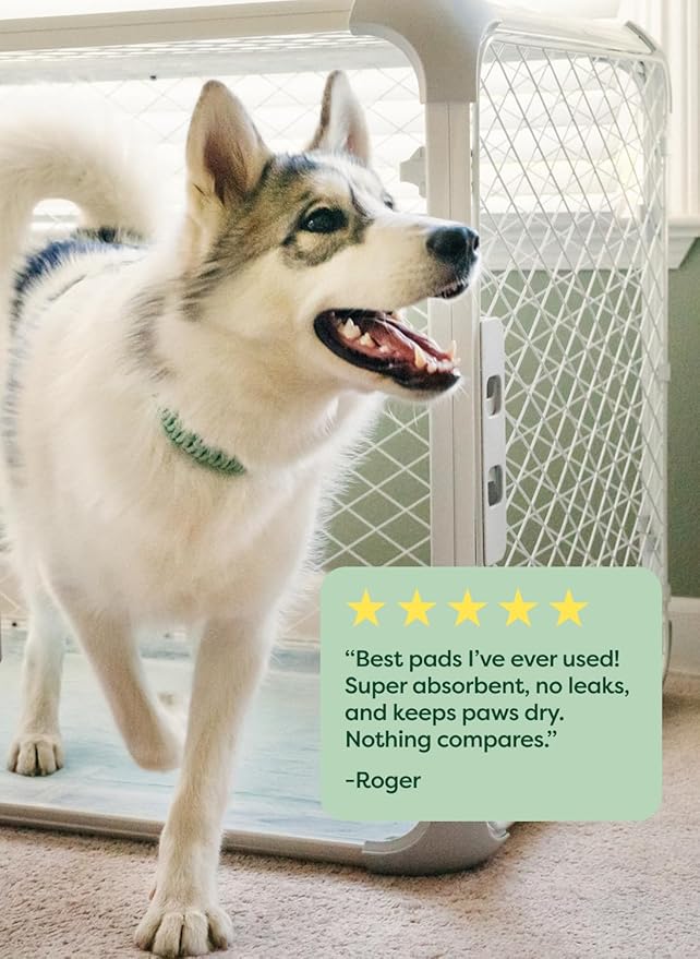 Earth Rated Max Absorbency Puppy Pee Pads for Dogs Absorbs 2X Faster & 2X More, Leak-Proof Odor-Free Potty Training Wee Wee Pad, Unscented, Large, 22” x 23”, 40 Count-PawvioPets