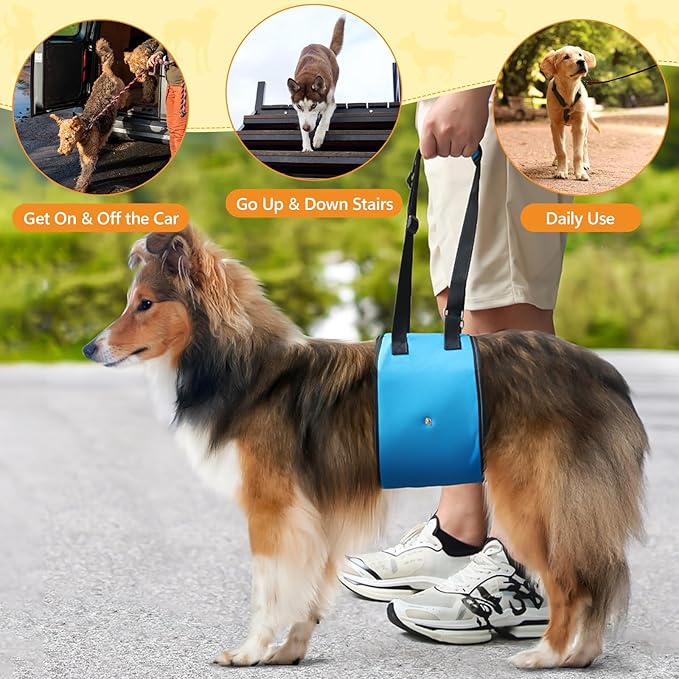 Dog Lift Harness Dog Sling for Large Dogs, Portable Dog Carrier Sling for Back Legs, Ajustable Hip Support Harness for Weak Rear Leg, Assist Senior Disabled Joint Injuried and After ACL-PawvioPets
