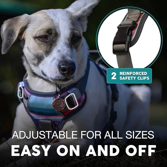 Embark Adventure Dog Harness, Reflective Trim XL Dog Harness for Extra Large Dogs No Pull - Military Grade Nylon, 2 Leash Clips & Gel Lined Handle. Soft & Padded Puppy Dog Harnesses for Any Breed-PawvioPets