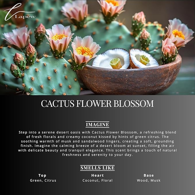Cactus Flower Blossom Carpet Freshener Powder: Powerful Odor Eliminator for Home, Upholstery Deodorizer, Carpet Deodorizer, Pet Urine, Cat Litter Box - Cactus Flower Blossom Fragrance.-PawvioPets