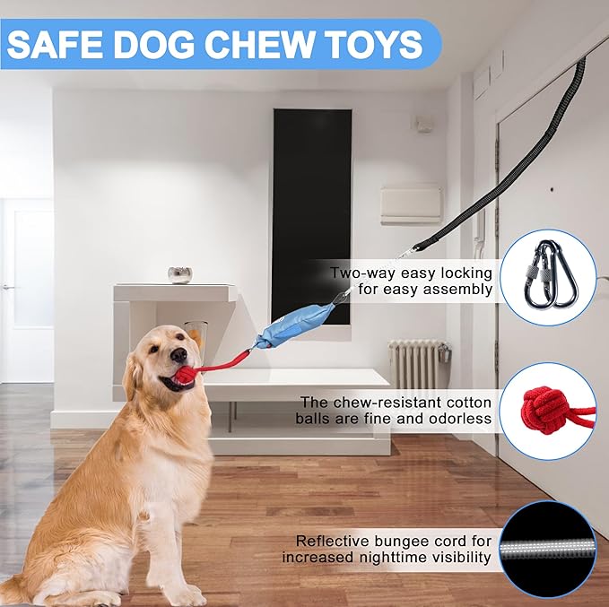 Dog Tree Tug of War Toy with Squeaky, Tethered Tug of War Outdoor Toy Self Play for Aggressive Chewers, Durable Bungee Cord with Chew Ball-PawvioPets